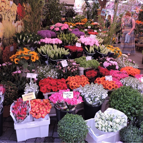 Meet your Posher, Paula - Picture 5 of 6